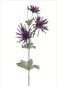 Gałązka chryzantema igiełkowa 80cm
