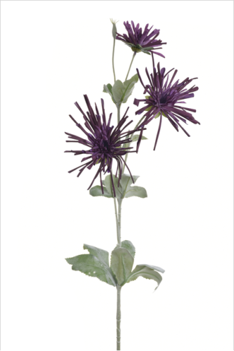 Gałązka chryzantema igiełkowa 80cm