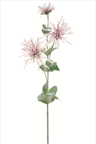 Gałązka chryzantema igiełkowa 80cm