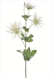 Gałązka chryzantema igiełkowa 80cm