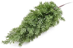 Gałązka ozdobna CV29576