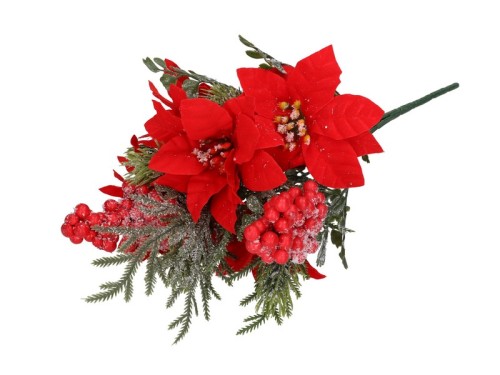 Bukiet gwiazda betlejemska CV42681