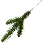 Gałązka świerku 25 cm