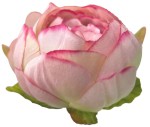 Peonia wyrobowa N-006 12szt/opak