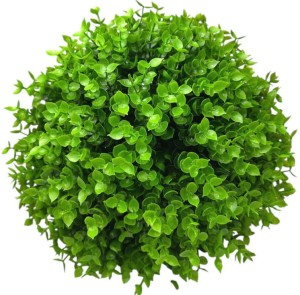 Kula bukszpan 29cm FB001414