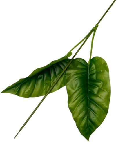 Łodyga kalii 24szt/opak 51cm