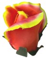 AFL0053.1