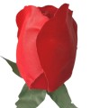 AFL0053.2