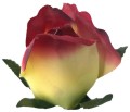AFL0053.3