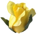 AFL0053.6
