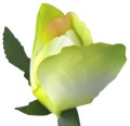 AFL0053.7