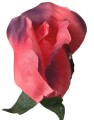 AFL0053.10