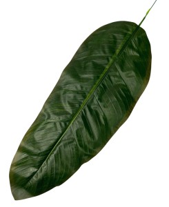 Liść sztuczny 12szt/opak 65cm KDGL108