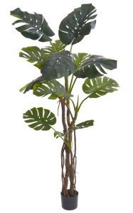 Drzewo monstera 190cm