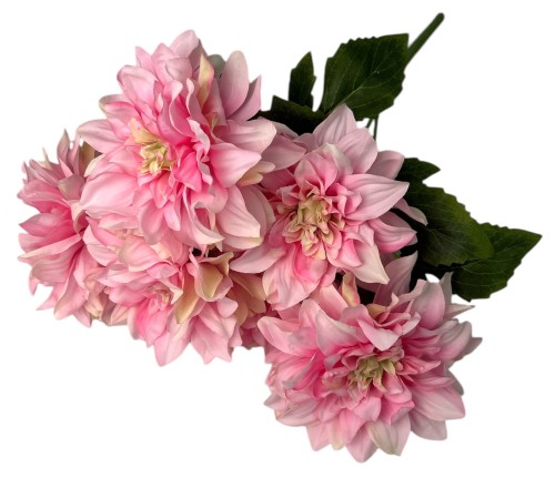 Bukiet dalia x7 86CAN1190215_04