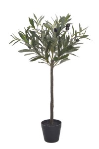 Drzewko oliwne 65cm