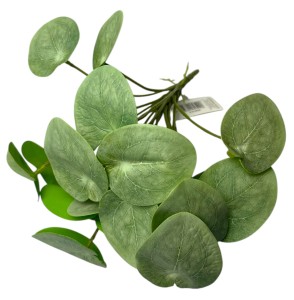 Pilea peperomiowata 26cm